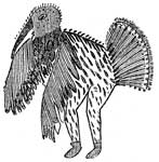 Kachina: Turkey Cock Kachina