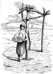 Pueblo People: Pueblo Girl Selling Clay Images
